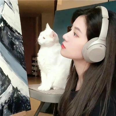 怪化猫